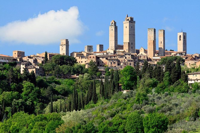 Private Tour in Siena, San Gimignano and Chianti Day Trip From Florence - Optional Wine Tasting and Lunch
