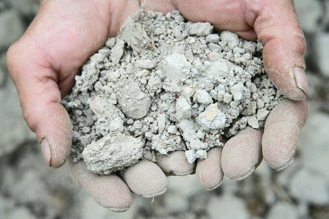 Private Tour in the Cellar and Tasting of Langhe Wines - Final Thoughts: Is It Worth It?