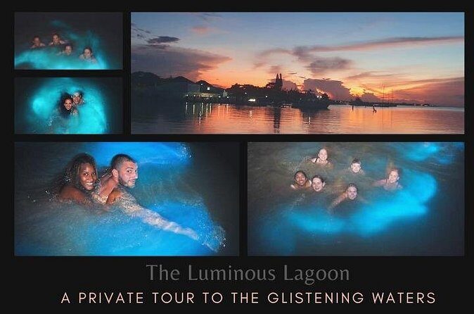 Private Tour in the Glistening Waters from Montego Bay - FAQ