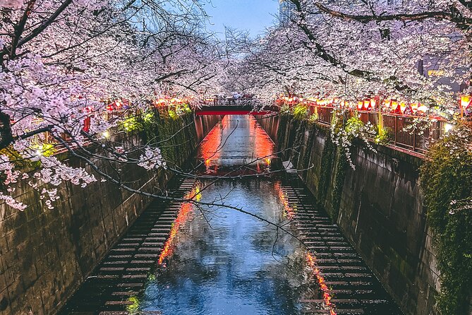 Private Tour in Tokyo With Local Guide - Pricing and Availability Details