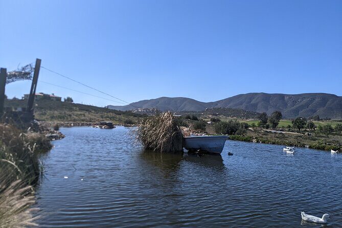 Private Tour in Valle De Guadalupe - FAQ