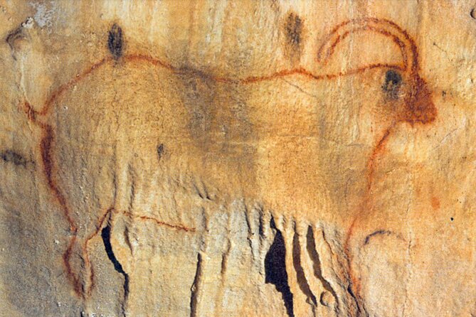 Private Tour Into an Original Prehistoric Cave by EXPLOREO SARLAT - Planning Resources