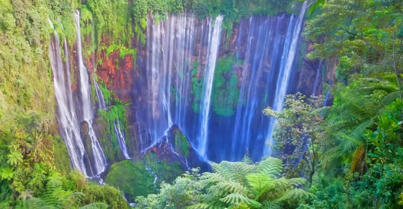 Private Tour : Jakarta - Bali 13 Day 12 Night With Hotel - Good To Know