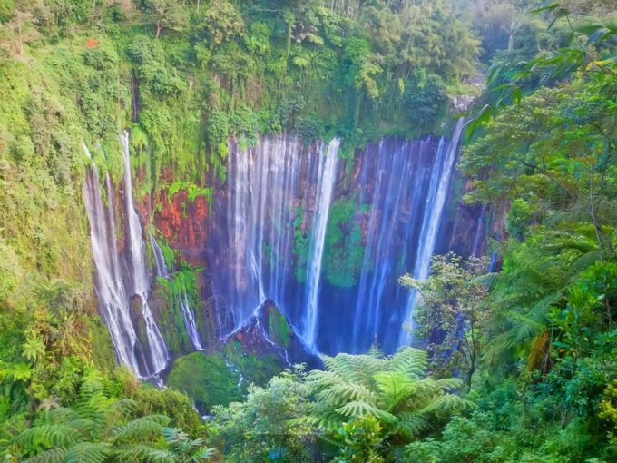 Private Tour : Jakarta - Bali 13 Day 12 Night With Hotel - Transfers and Logistics