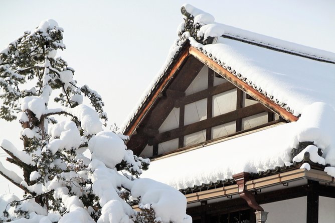 Private Tour Kanazawa, Shirakawago, Hida Furukawa,Takayama - Visiting Shirakawago