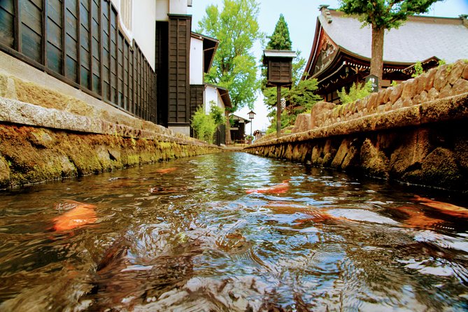Private Tour Kanazawa, Shirakawago, Hida Furukawa,Takayama - Discovering Takayama