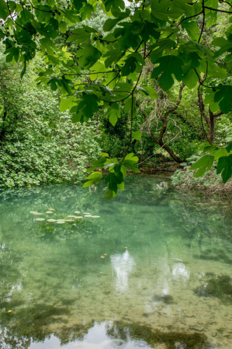 Private Tour Krka Waterfalls and Wine Tasting - River Cruise and Free Time