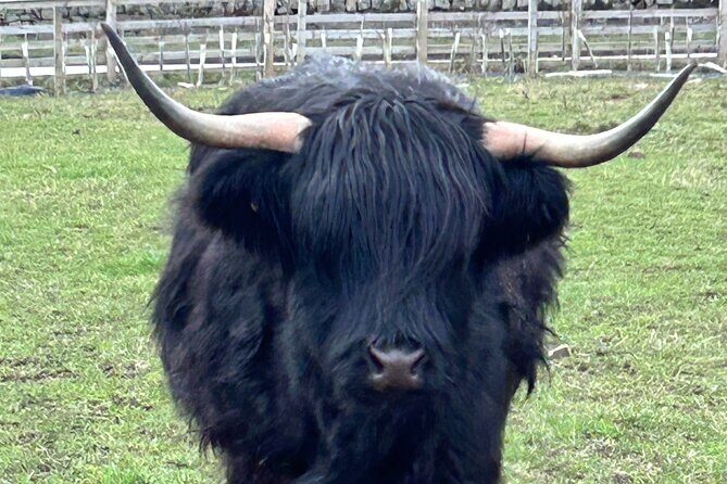 Private Tour Loch Lomond Stirling and the Kelpies from Glasgow - Exploring the Itinerary: What You Can Expect