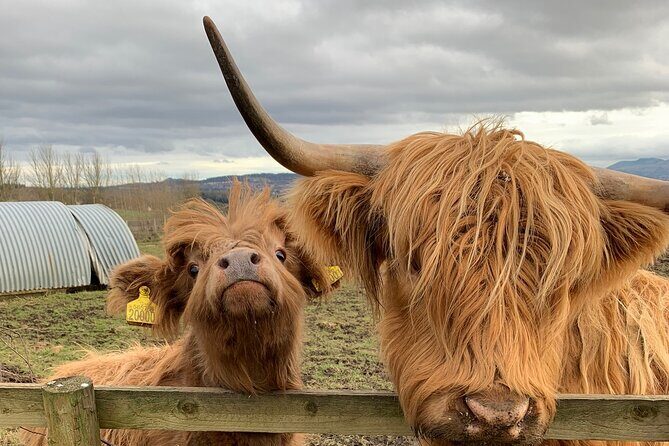 Private Tour Loch Lomond Stirling and the Kelpies from Glasgow - FAQs
