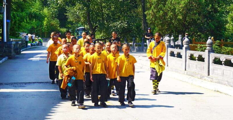 Private Tour: Longmen Grottoes, Shaolin Temple & Kungfu Show - Key Points
