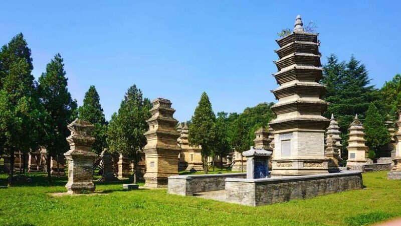 Private Tour: Longmen Grottoes, Shaolin Temple & Kungfu Show - Who Should Consider This Tour