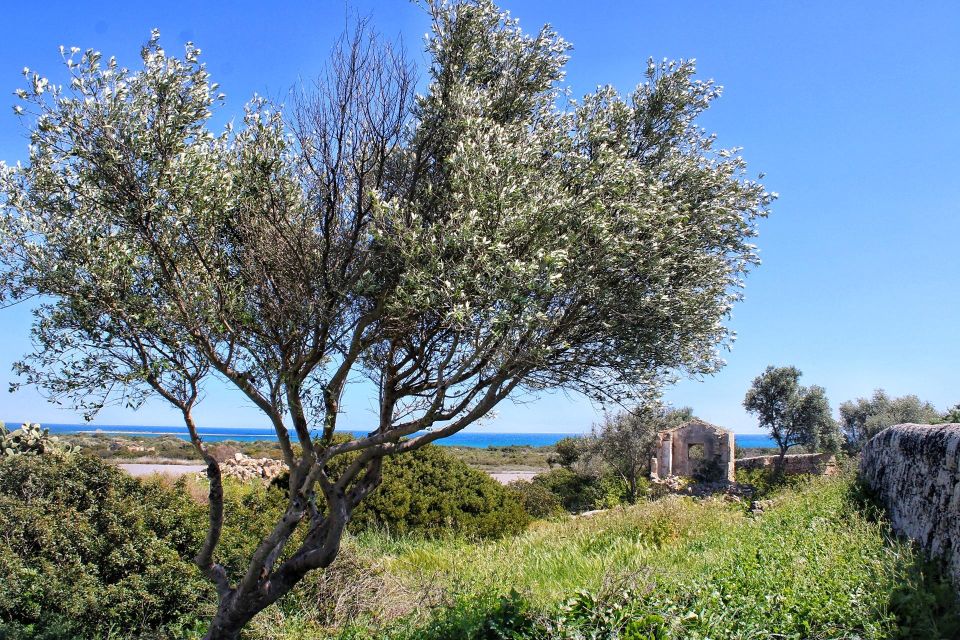 Private Tour Marzamemi and Natural Reserve Vendicari - Pickup Locations
