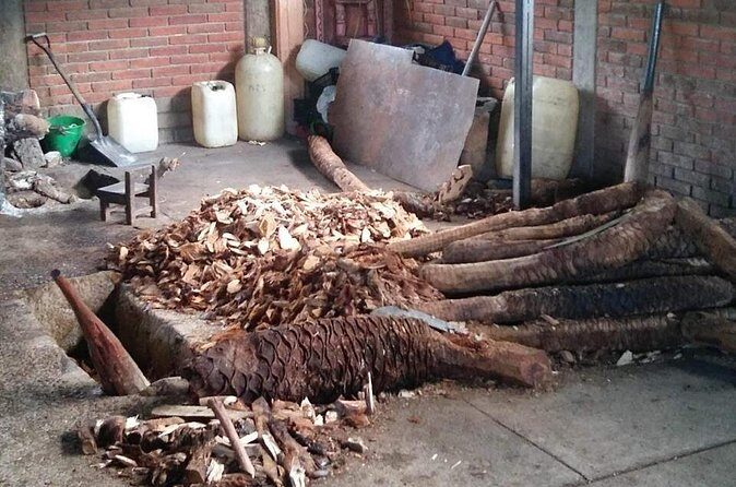 Private tour Mitla, Weavers town, Mezcal and Boil the water - Final Thoughts