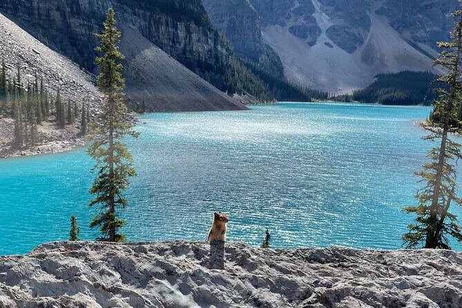 Private Tour Moraine Lake, Lake Louise & Emerald Lake - The Sum Up