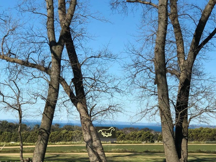 Private Tour: Mornington Peninsula Wine, Beer & Hotsprings - Key Points