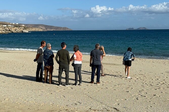 Private Tour Mykonos - Transportation and Amenities