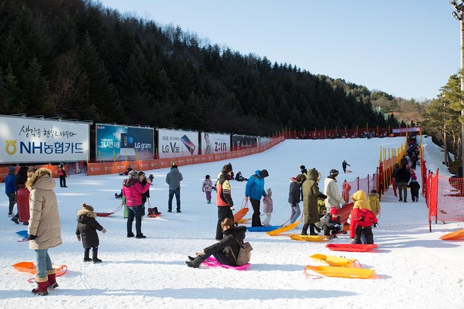 [Private Tour] Nami Island & Snow Viewing and Snow Sled (More Members Less Cost) - Itinerary Customization Options