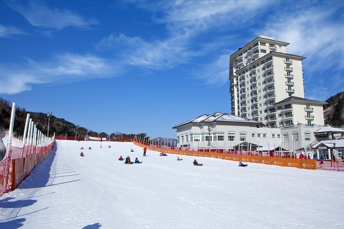 [Private Tour] Nami Island & Snow Viewing and Snow Sled (More Members Less Cost) - Inclusions and Pricing Details