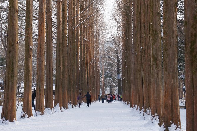 [Private Tour] Nami Island & Snow Viewing and Snow Sled (More Members Less Cost) - Pickup and Accessibility Information