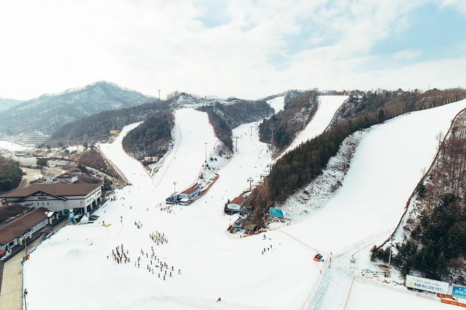 [Private Tour] Nami Island & Snow Viewing and Snow Sled (More Members Less Cost) - Clothing and Preparation Tips