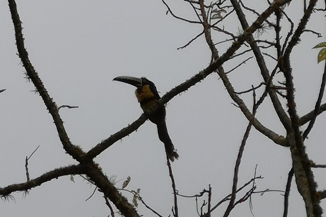 Private Tour - Natural Bird Reserve - Proaves (Hiking/Trekking) - Meeting and Pickup