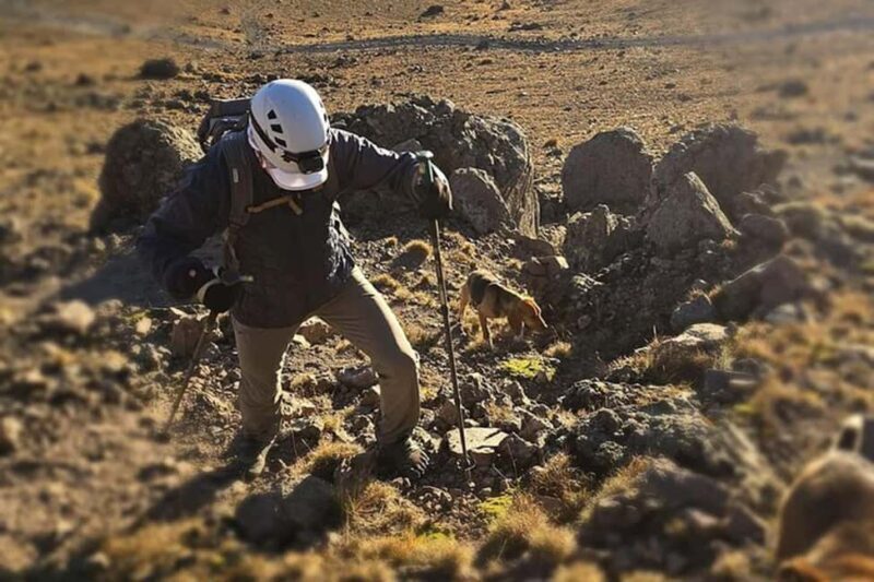 Private Tour Nevado de Toluca from Mexico City. Sunrise or Hike through lagoons. - What Travelers Say