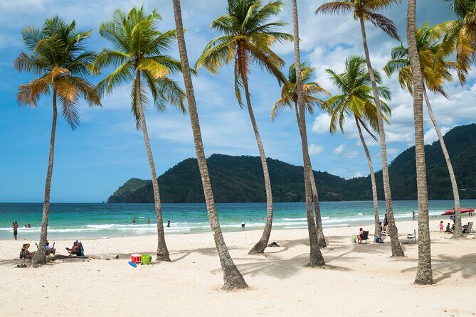 Private Tour North Coast Mountain Tour & Maracas Beach - Authenticity and Local Flavor