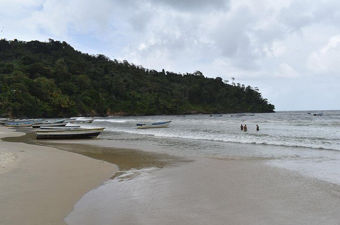 Private Tour North Coast Mountain Tour & Maracas Beach - Who Would Love This Tour?