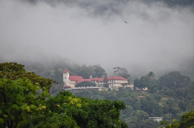 Private Tour North Coast Mountain Tour & Maracas Beach - Final Thoughts