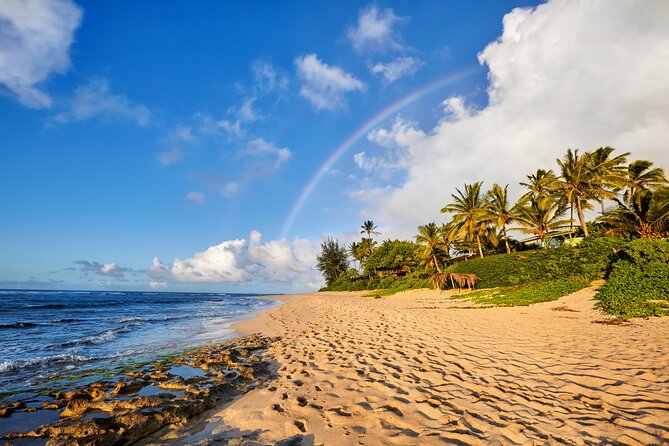 Private Tour Oahu From Honolulu - Tour Conditions