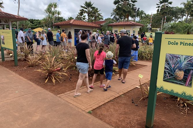 Private Tour : OAHU, MAUI, KAUAI or BIG ISLAND : Pick Any ISLAND - Convenient Pickup Details Across Islands