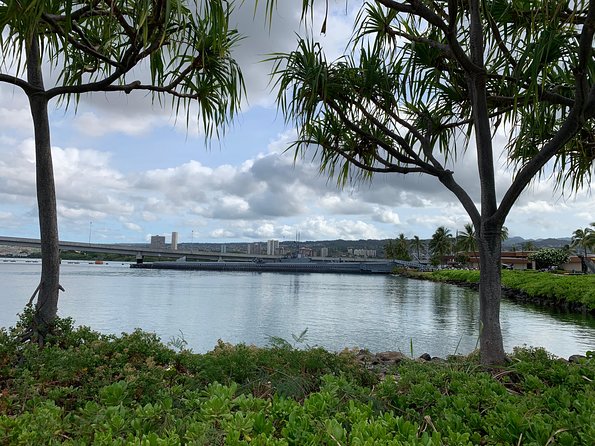 Private Tour : OAHU, MAUI, KAUAI or BIG ISLAND : Pick Any ISLAND - Accessibility Options for All Travelers