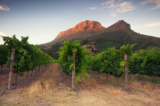 Private Tour of 3 Top Winelands With Wine Tasting From Cape Town - Inclusions and Exclusions