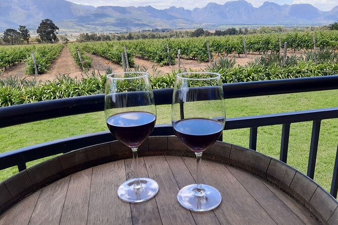 Private Tour of 3 Top Winelands With Wine Tasting From Cape Town - Participant Information
