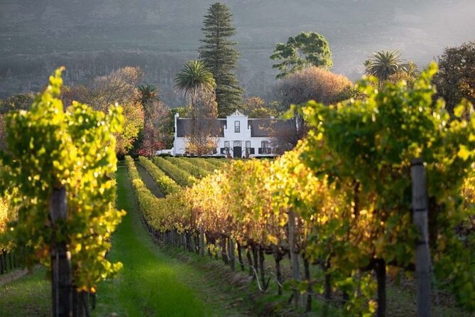 Private Tour of 3 Top Winelands With Wine Tasting From Cape Town - Highlights of the Winelands