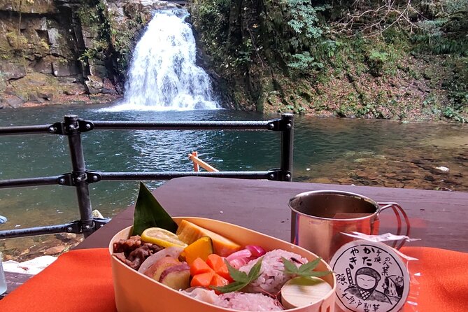 Private Tour of Akame 48 Waterfalls With Bento Making - Booking and Pricing