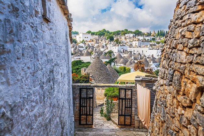 Private Tour of Alberobello, Monopoli and Polignano From Bari - Accessibility Information