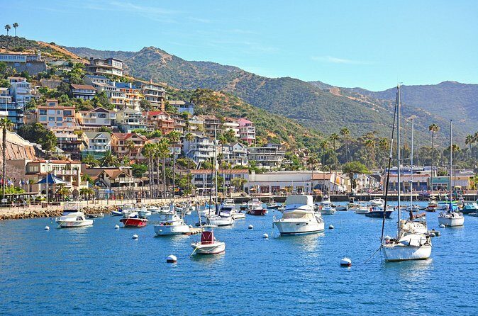 Private Tour of Avalon from Catalina Island - Final Words