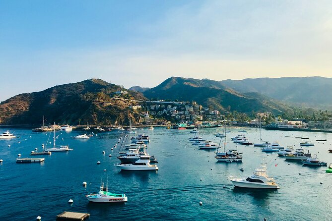 Private Tour of Avalon From Catalina Island - Whats Included in the Tour Package