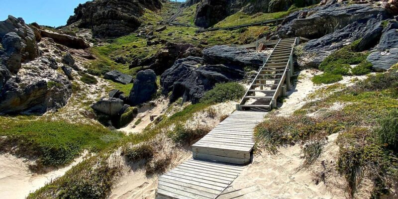 Private Tour of Cape Point + Boulders Beach Penguins Colony - Pickup and Transportation