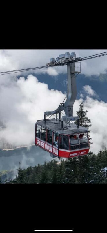 Private Tour of Capilano Suspension Bridge & Grouse Mountain - Final Thoughts: Is This Tour Right for You?