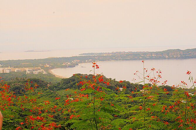 Private Tour of Cerro del Mono - Who Should Consider This Tour?