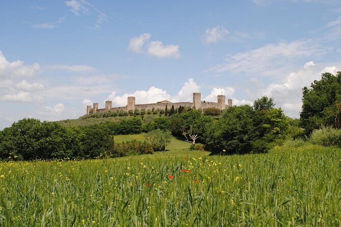 Private Tour Of Chianti with Wine Tastings - FAQs