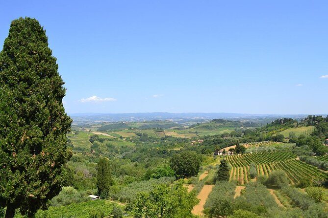 Private Tour Of Chianti with Wine Tastings - Final Thoughts
