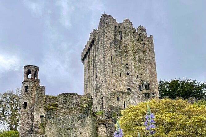 Private tour of Cobh, Blarney Castle,Jameson distillery. - The Sum Up