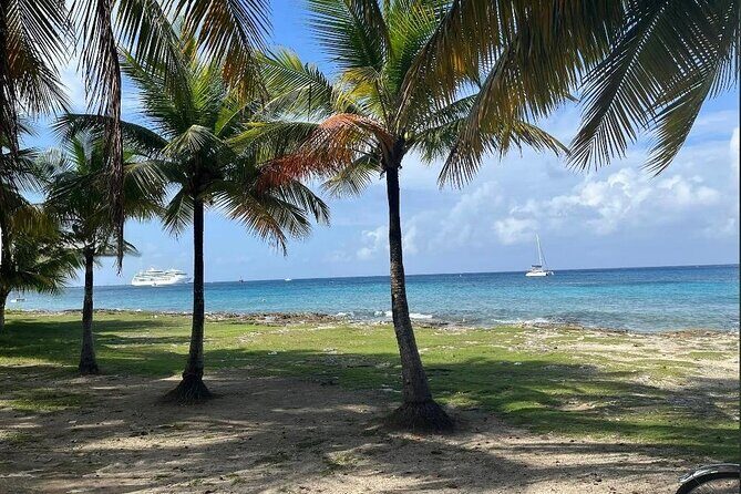 Private Tour of Cozumel in your own way Groups up to 4 People - FAQ