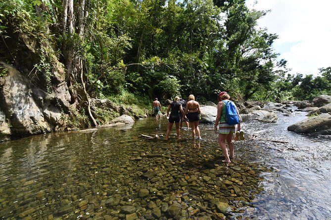 Private Tour of El Yunque Rainforest from San Juan - Authentic Experiences and Insights