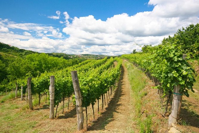 Private Tour of Goriska Brda Wine Hills From Ljubljana - Customer Reviews