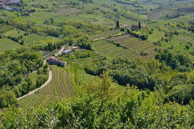 Private Tour of Goriska Brda Wine Hills From Ljubljana - Booking Information