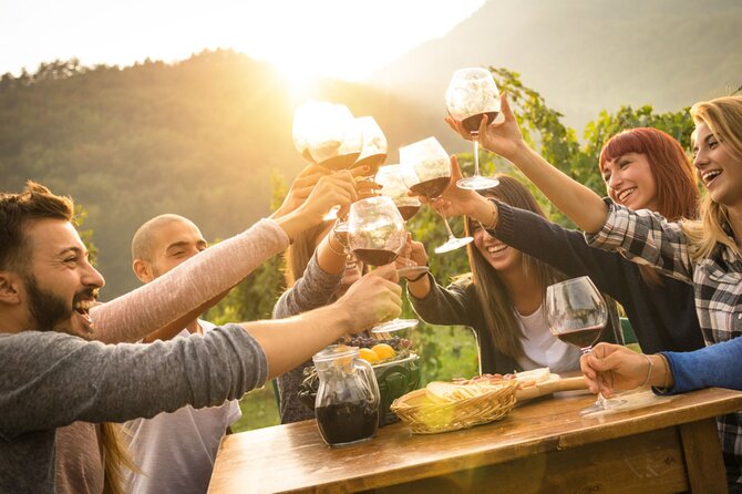 Private Tour of Goriska Brda Wine Hills From Ljubljana - Tasting the Local Wines